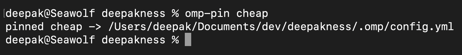 Pinning the cheap profile to a project