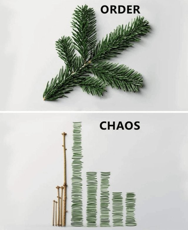 Order vs. Chaos
